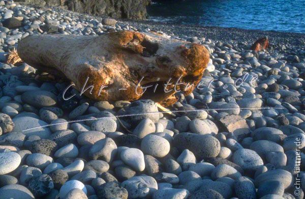 008 Madeira-2001 051 05-22