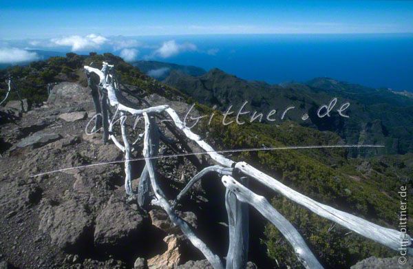 018 Madeira-2001 123 11-33