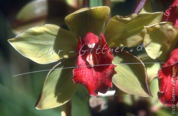 021 Madeira-2001 136 12-28